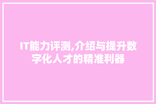 IT能力评测,介绍与提升数字化人才的精准利器