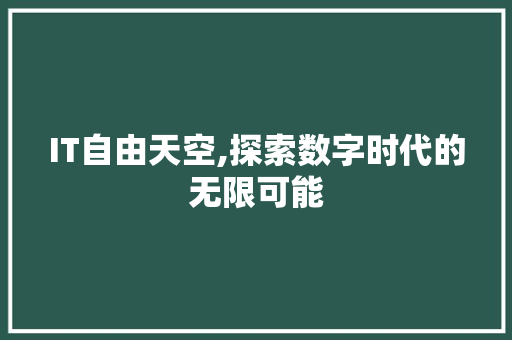 IT自由天空,探索数字时代的无限可能