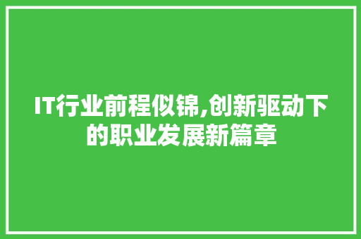 IT行业前程似锦,创新驱动下的职业发展新篇章