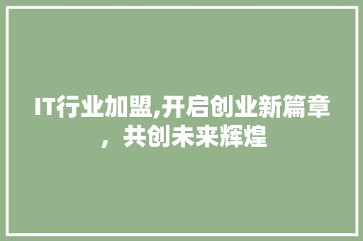 IT行业加盟,开启创业新篇章，共创未来辉煌