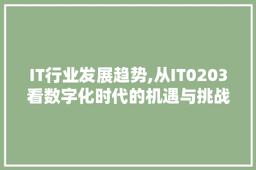 IT行业发展趋势,从IT0203看数字化时代的机遇与挑战