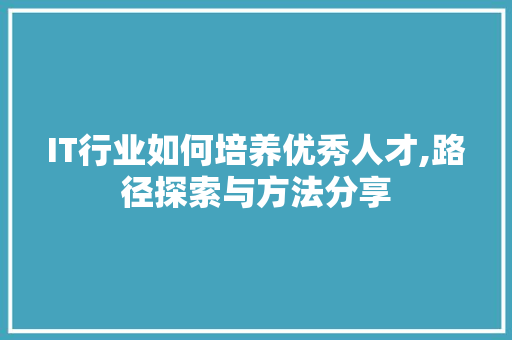 IT行业如何培养优秀人才,路径探索与方法分享