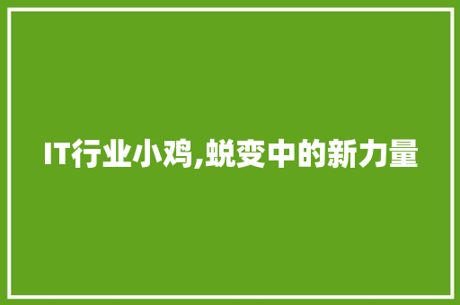 IT行业小鸡,蜕变中的新力量