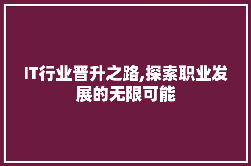 IT行业晋升之路,探索职业发展的无限可能