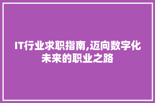 IT行业求职指南,迈向数字化未来的职业之路