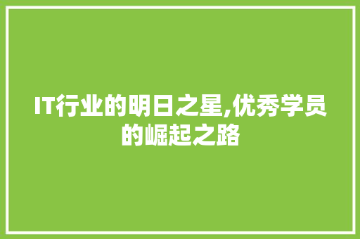 IT行业的明日之星,优秀学员的崛起之路
