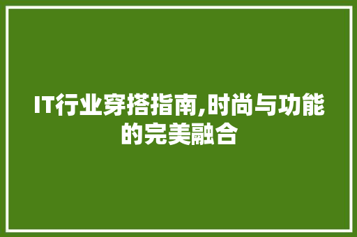 IT行业穿搭指南,时尚与功能的完美融合