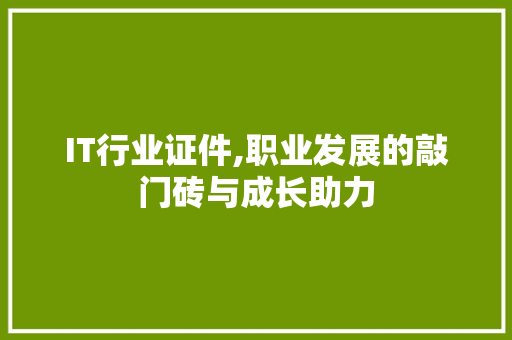 IT行业证件,职业发展的敲门砖与成长助力