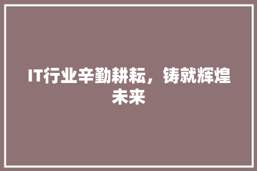 IT行业辛勤耕耘，铸就辉煌未来