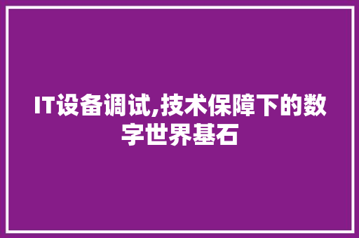 IT设备调试,技术保障下的数字世界基石