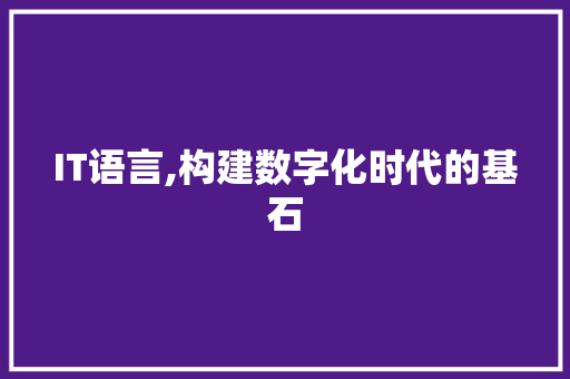 IT语言,构建数字化时代的基石