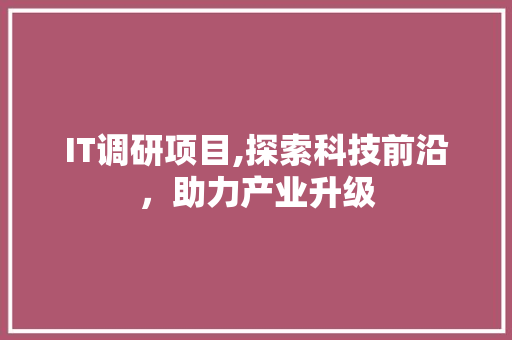 IT调研项目,探索科技前沿，助力产业升级