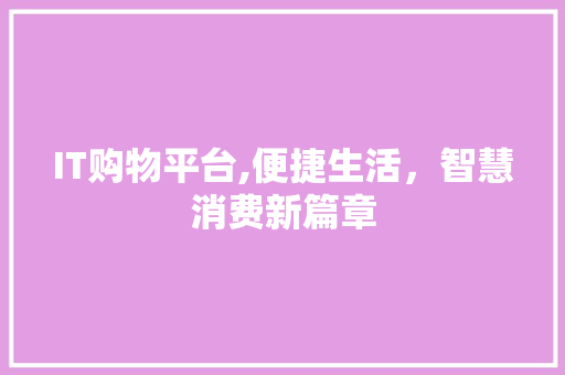 IT购物平台,便捷生活，智慧消费新篇章