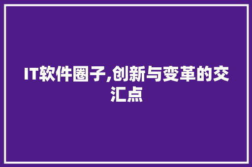 IT软件圈子,创新与变革的交汇点