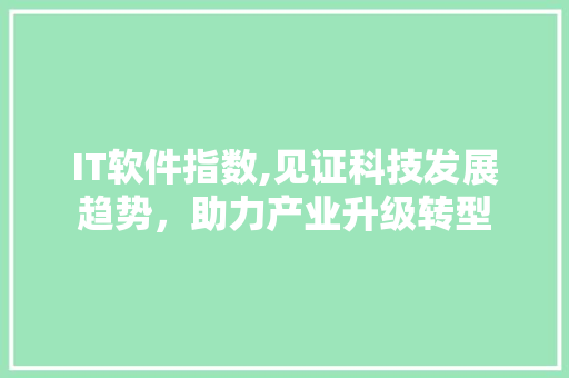 IT软件指数,见证科技发展趋势，助力产业升级转型