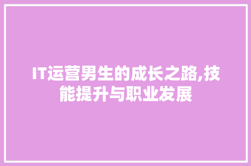 IT运营男生的成长之路,技能提升与职业发展