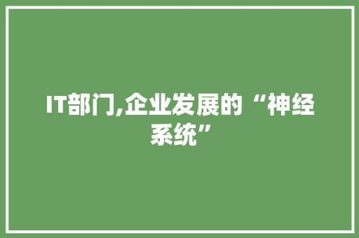 IT部门,企业发展的“神经系统”