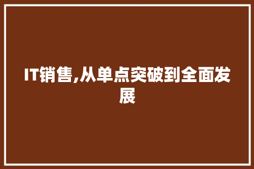 IT销售,从单点突破到全面发展