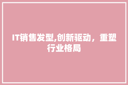 IT销售发型,创新驱动，重塑行业格局