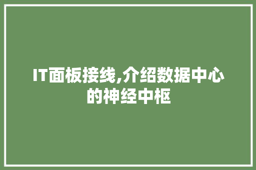 IT面板接线,介绍数据中心的神经中枢