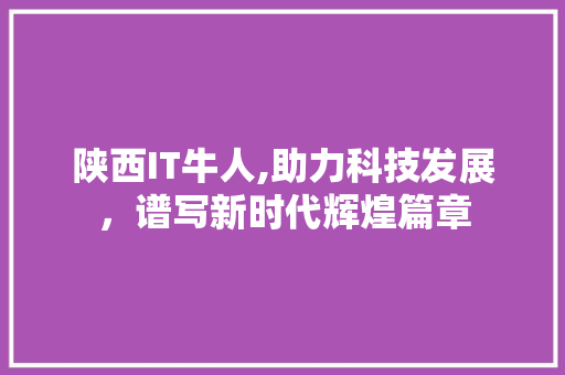 陕西IT牛人,助力科技发展，谱写新时代辉煌篇章