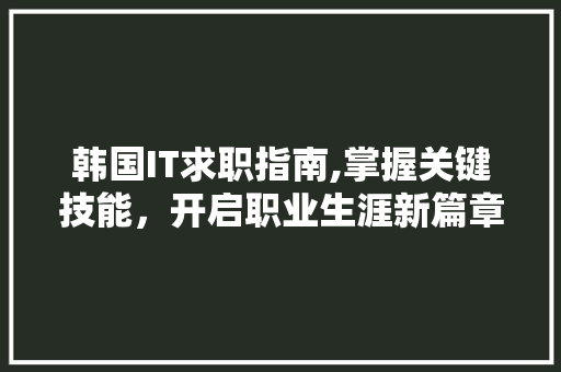 韩国IT求职指南,掌握关键技能，开启职业生涯新篇章