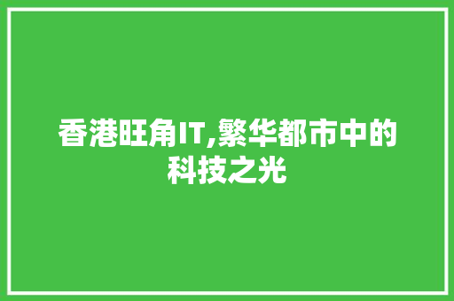 香港旺角IT,繁华都市中的科技之光