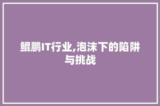 鲲鹏IT行业,泡沫下的陷阱与挑战