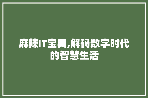 麻辣IT宝典,解码数字时代的智慧生活