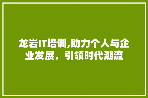 龙岩IT培训,助力个人与企业发展，引领时代潮流