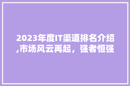 2023年度IT渠道排名介绍,市场风云再起，强者恒强