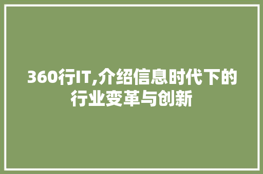 360行IT,介绍信息时代下的行业变革与创新