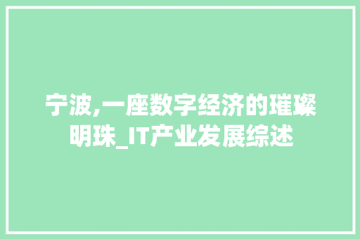 宁波,一座数字经济的璀璨明珠_IT产业发展综述