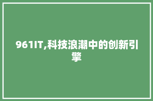 961IT,科技浪潮中的创新引擎