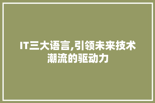 IT三大语言,引领未来技术潮流的驱动力