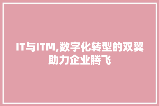IT与ITM,数字化转型的双翼助力企业腾飞