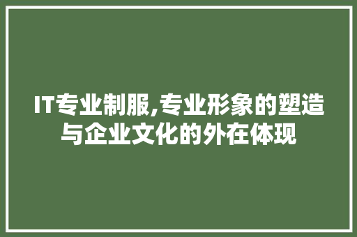 IT专业制服,专业形象的塑造与企业文化的外在体现