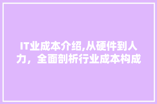 IT业成本介绍,从硬件到人力，全面剖析行业成本构成