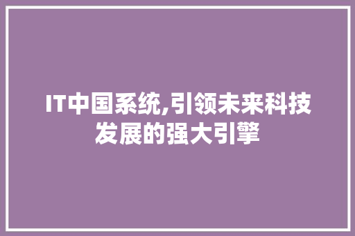 IT中国系统,引领未来科技发展的强大引擎