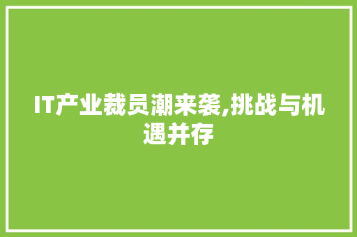 IT产业裁员潮来袭,挑战与机遇并存