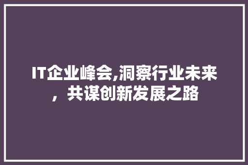 IT企业峰会,洞察行业未来，共谋创新发展之路