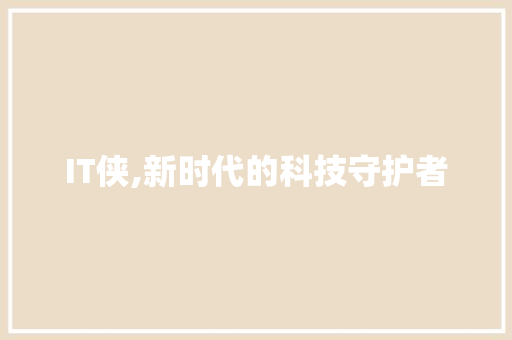 IT侠,新时代的科技守护者