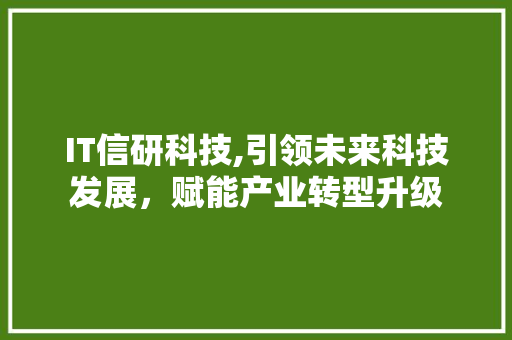 IT信研科技,引领未来科技发展，赋能产业转型升级