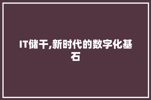IT储干,新时代的数字化基石