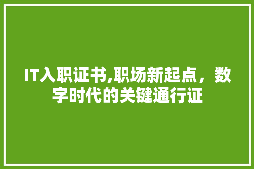 IT入职证书,职场新起点，数字时代的关键通行证