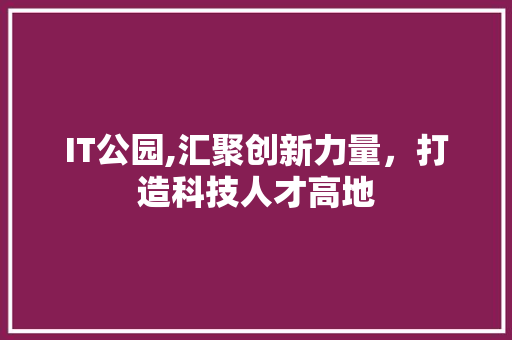 IT公园,汇聚创新力量，打造科技人才高地