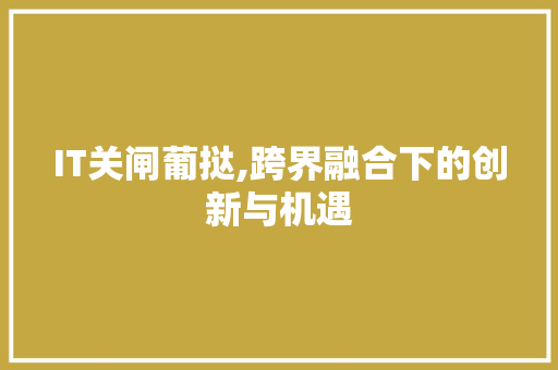 IT关闸葡挞,跨界融合下的创新与机遇
