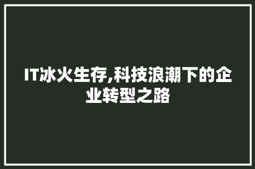 IT冰火生存,科技浪潮下的企业转型之路