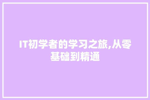 IT初学者的学习之旅,从零基础到精通
