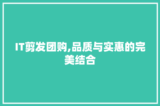 IT剪发团购,品质与实惠的完美结合